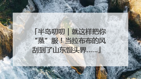 半岛叨叨｜就这样把你“蒸”服！当拉布布的风刮到了山东馒头界……