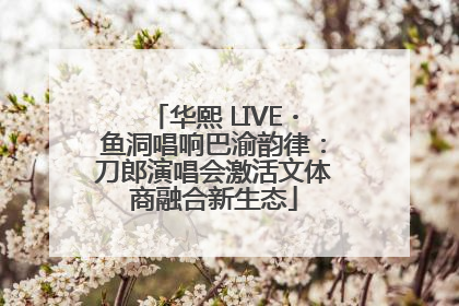 华熙 LIVE・鱼洞唱响巴渝韵律：刀郎演唱会激活文体商融合新生态
