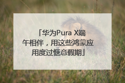 华为Pura X端午相伴，用这些鸿蒙应用度过惬意假期