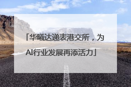 华曦达递表港交所，为AI行业发展再添活力