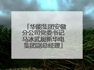 华能集团安徽分公司党委书记马冰武履新华电集团副总经理