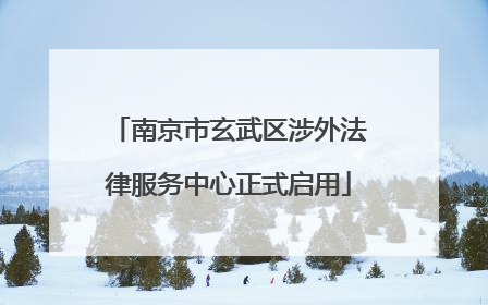 南京市玄武区涉外法律服务中心正式启用