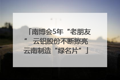 南博会5年“老朋友” 云铝股份不断擦亮云南制造“绿名片”