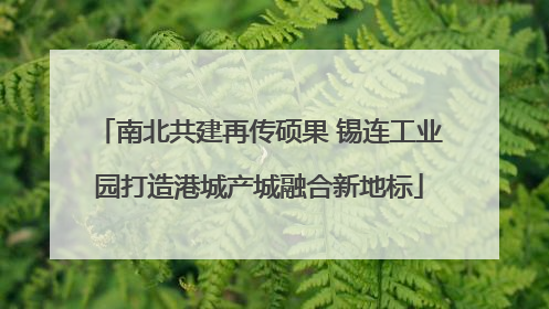 南北共建再传硕果 锡连工业园打造港城产城融合新地标