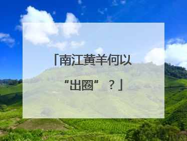 南江黄羊何以“出圈”？