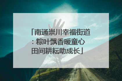 南通崇川幸福街道：粽叶飘香暖童心 田间耕耘助成长