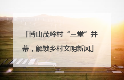 博山茂岭村“三堂”并蒂，解锁乡村文明新风