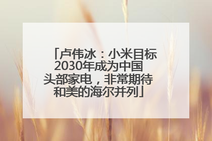 卢伟冰：小米目标2030年成为中国头部家电，非常期待和美的海尔并列