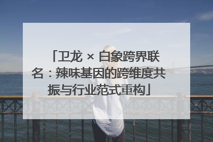 卫龙 × 白象跨界联名：辣味基因的跨维度共振与行业范式重构