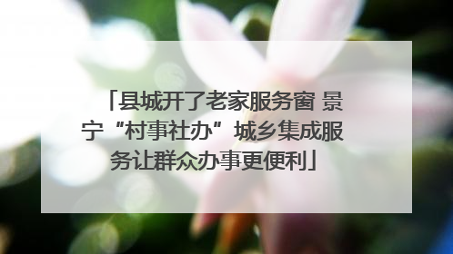 县城开了老家服务窗 景宁“村事社办”城乡集成服务让群众办事更便利