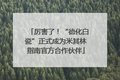 厉害了！“德化白瓷”正式成为米其林指南官方合作伙伴