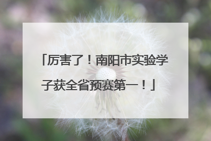 厉害了！南阳市实验学子获全省预赛第一！