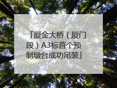 厦金大桥（厦门段）A3标首个预制墩台成功吊装