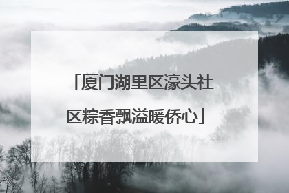 厦门湖里区濠头社区粽香飘溢暖侨心