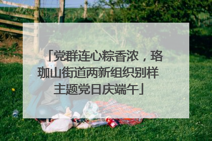 党群连心粽香浓，珞珈山街道两新组织别样主题党日庆端午