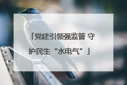 党建引领强监管 守护民生“水电气”