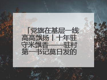 党旗在基层一线高高飘扬丨十年驻守米飘香——驻村第一书记莫日发的乡村印记
