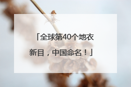 全球第40个地衣新目，中国命名！