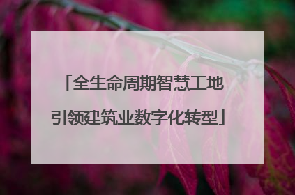 全生命周期智慧工地 引领建筑业数字化转型