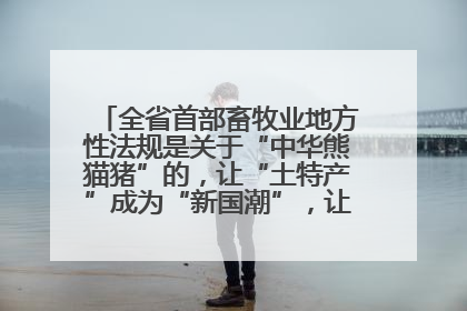 全省首部畜牧业地方性法规是关于“中华熊猫猪”的，让“土特产”成为“新国潮”，让“农产品”升格为“城市IP”