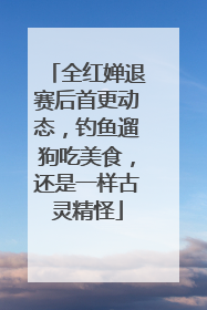 全红婵退赛后首更动态，钓鱼遛狗吃美食，还是一样古灵精怪