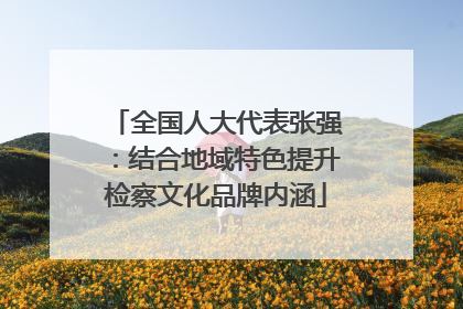 全国人大代表张强：结合地域特色提升检察文化品牌内涵