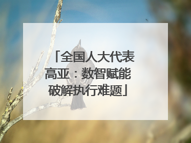 全国人大代表高亚：数智赋能破解执行难题