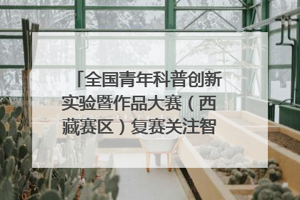 全国青年科普创新实验暨作品大赛（西藏赛区）复赛关注智慧环保等主题