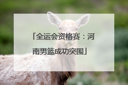 全运会资格赛：河南男篮成功突围