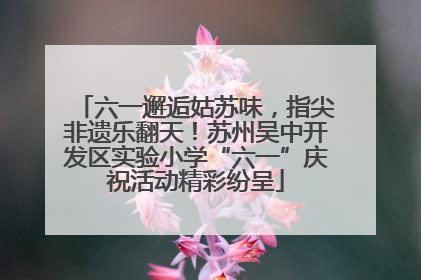 六一邂逅姑苏味，指尖非遗乐翻天！苏州吴中开发区实验小学“六一”庆祝活动精彩纷呈