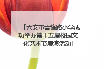 六安市雷锋路小学成功举办第十五届校园文化艺术节展演活动