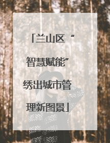 兰山区“智慧赋能”绣出城市管理新图景