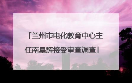 兰州市电化教育中心主任南星辉接受审查调查