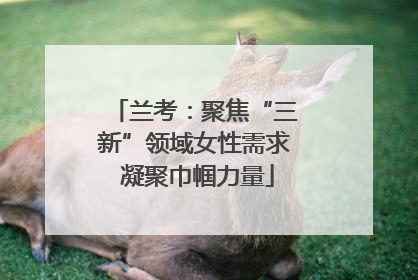 兰考：聚焦“三新”领域女性需求 凝聚巾帼力量