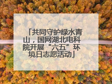 共同守护绿水青山，国网湖北电科院开展“六五”环境日志愿活动