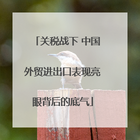 关税战下 中国外贸进出口表现亮眼背后的底气