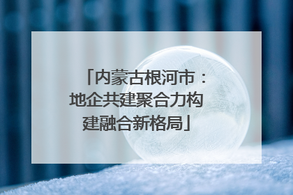 内蒙古根河市：地企共建聚合力构建融合新格局