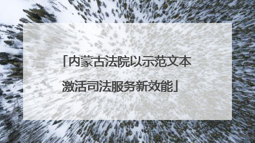 内蒙古法院以示范文本激活司法服务新效能