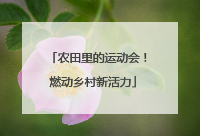 农田里的运动会！燃动乡村新活力