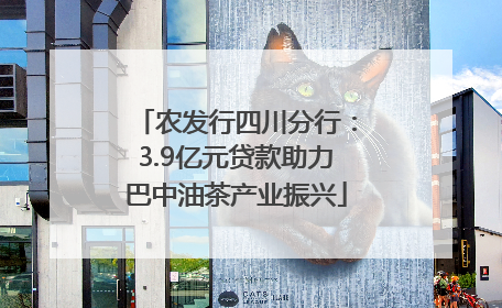 农发行四川分行：3.9亿元贷款助力巴中油茶产业振兴