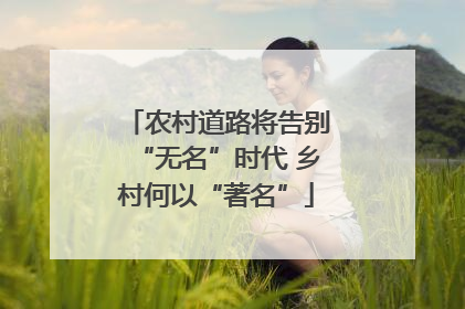 农村道路将告别“无名”时代 乡村何以“著名”