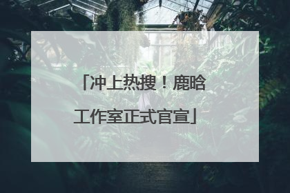冲上热搜！鹿晗工作室正式官宣