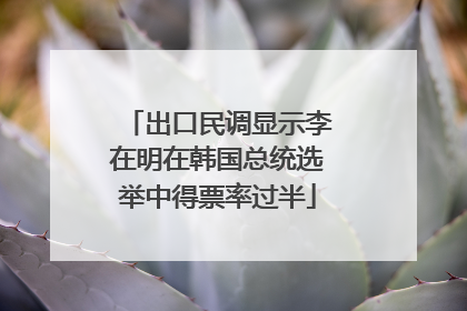 出口民调显示李在明在韩国总统选举中得票率过半