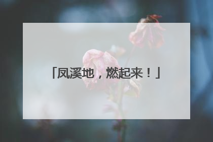 凤溪地，燃起来！