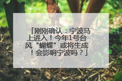 刚刚确认：宁波马上进入！今年1号台风“蝴蝶”或将生成！会影响宁波吗？