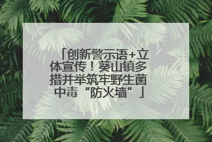 创新警示语+立体宣传！葵山镇多措并举筑牢野生菌中毒“防火墙”