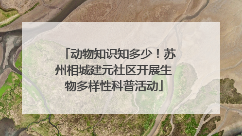 动物知识知多少！苏州相城建元社区开展生物多样性科普活动