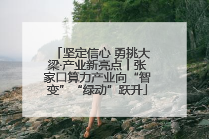 坚定信心 勇挑大梁·产业新亮点丨张家口算力产业向“智变”“绿动”跃升