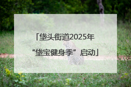 垡头街道2025年“垡宝健身季”启动