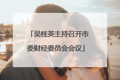吴桂英主持召开市委财经委员会会议